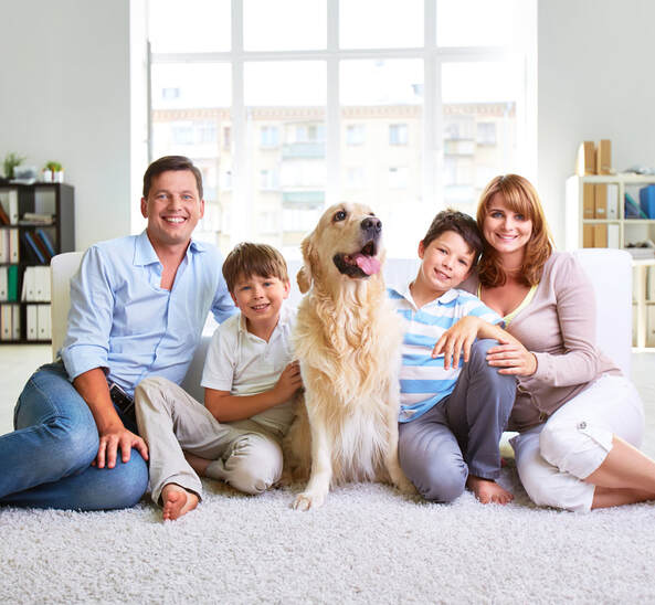 Family and pet on clean carpet